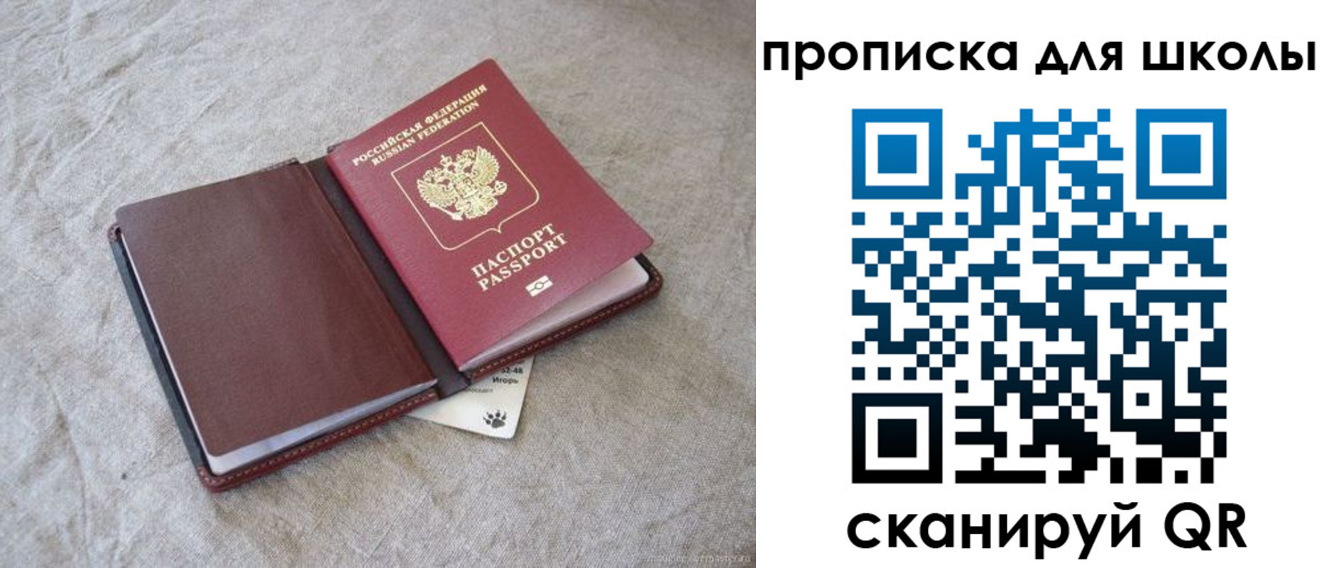 прописка штамп в Фрязино
